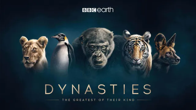 dynasties